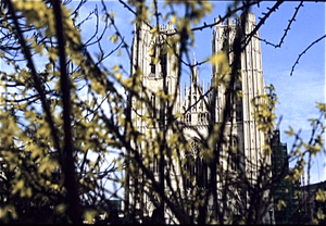 Sint Michielskathedraal