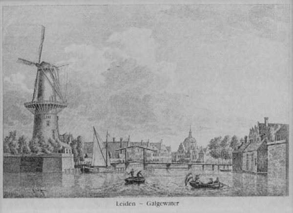 leidendekorenbloemgalgewater_7