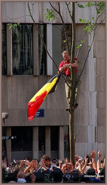 sized_sized_DSC23426a nog de vlag in de boom