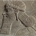 Assyri
