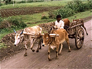 Moeder India