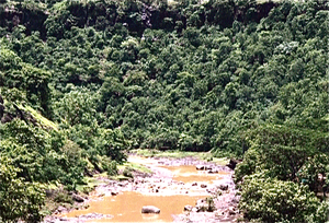 Grotten van Ajanta