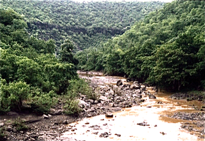 Grotten van Ajanta