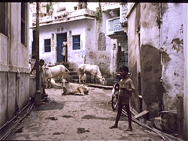 Udaipur