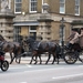 Royal mews