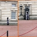 Buckingham Palace