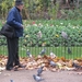 St James Park