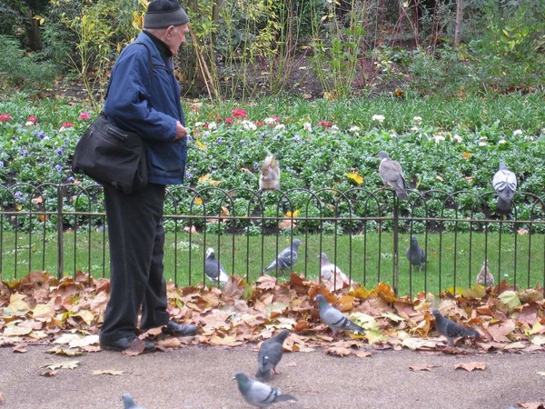 St James Park