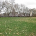 Victoria Tower Gardens