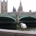 Westminster Bridge