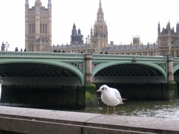 Westminster Bridge