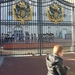 Buckingham Palace - aflossing van de wacht