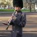 Buckingham Palace - aflossing van de wacht
