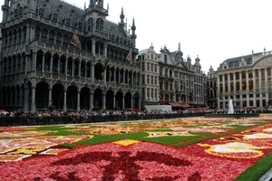 133 Brussel  bloementapijt