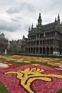 135 Brussel  bloementapijt