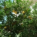 Reis Kreta -Rethimnon 084