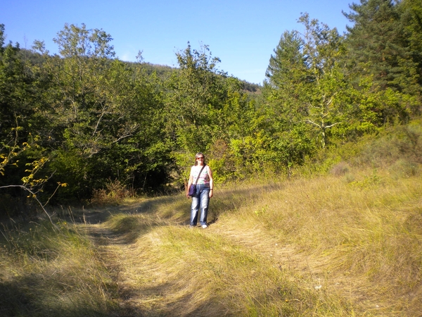 Wandeling omgeving 1