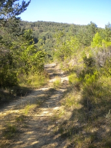 Wandeling omgeving 4