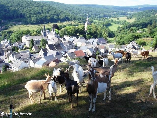 2010_07_24 Vierves-sur-Viroin 17