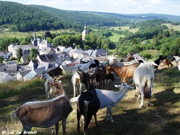 2010_07_24 Vierves-sur-Viroin 19