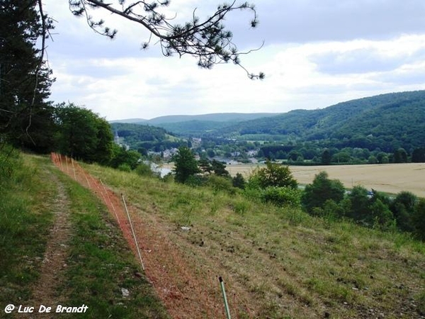 2010_07_24 Vierves-sur-Viroin 80 Treignes