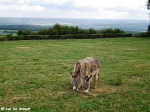 2010_08_02 Beauraing 11