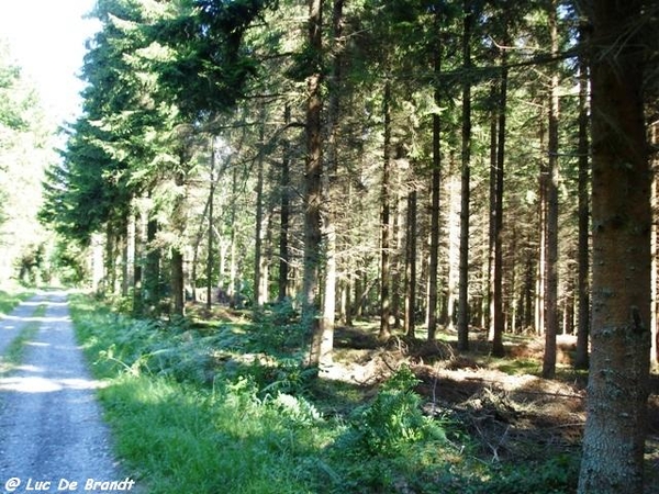 2010_08_02 Beauraing 17
