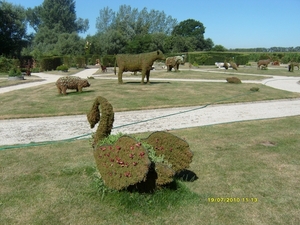noordkaap 2010 266