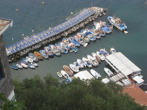 sorrento 141