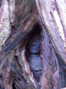 DSCN1193