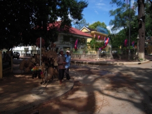 DSCN1225