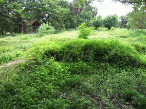 DSCN1297