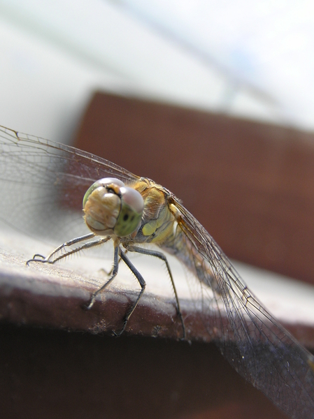 aug 2010 120