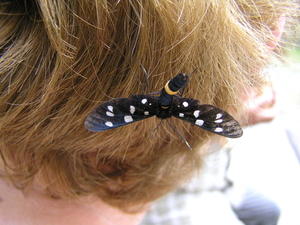 P7040021