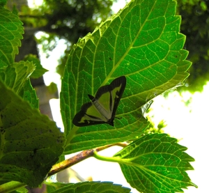 P5310007
