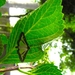 P5310006