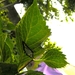 P5310005