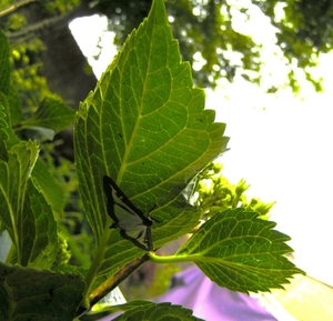 P5310005