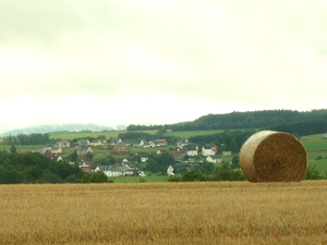 10.08. EIFEL 079 BETTENFELD  IN DE VERTE