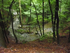 10.08. EIFEL.KLEIN ZWITSERLAND