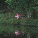 P7131233