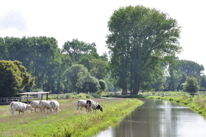 DSC_0001 WELKOM IN M'N NIEUW ALBUM...VEEL GENOEGEN...