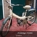 Raleigh RM6  1964