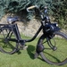 solex 1954