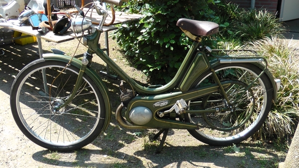 Triumph  Gespot in Griendtsveen 27-05-2012