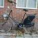 Le Poulain 1946 op een Pon fiets