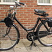 Solex peperbus  1949