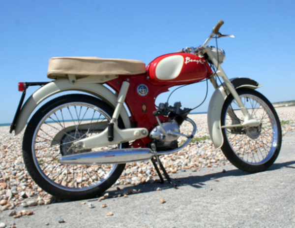 BSA. Beagle