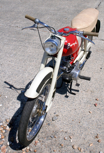 BSA. Beagle