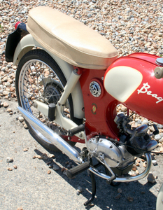 BSA. Beagle